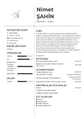Ressam Cv Örnekleri cv indir
